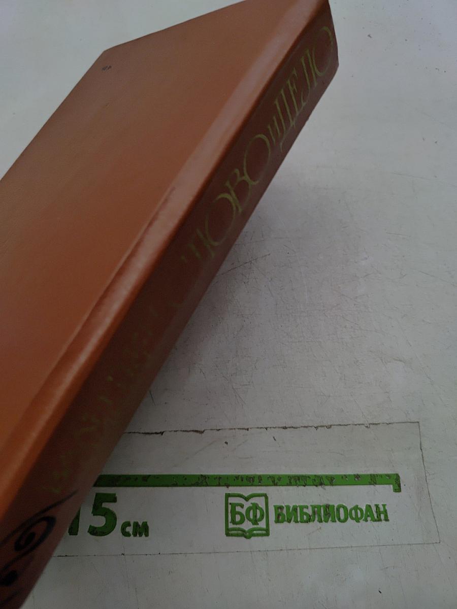 Слово и дело. Роман-хроника времен Анны Иоанновны. Том 2. Мои любезные конфиденты