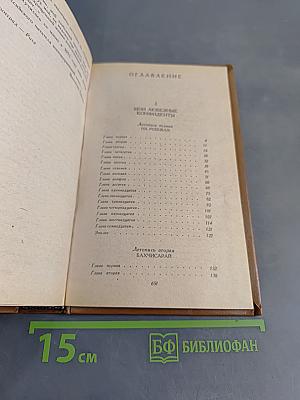 Слово и дело. Роман-хроника времён Анны Иоанновны. Книга 2. Мои любезные конфиденты