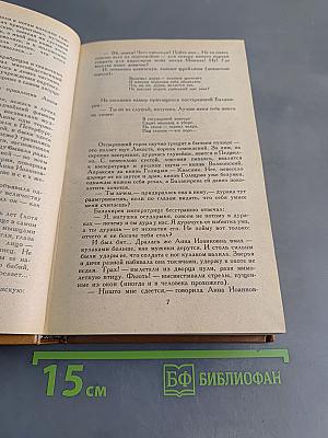 Слово и дело. Роман-хроника времён Анны Иоанновны. Книга 2. Мои любезные конфиденты
