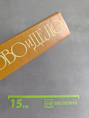 Слово и дело. Роман-хроника времён Анны Иоанновны. Книга 2. Мои любезные конфиденты