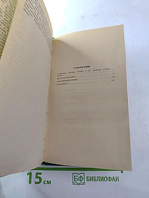 Круглая мозаика. Пирамидный дюйм. Мамелюки