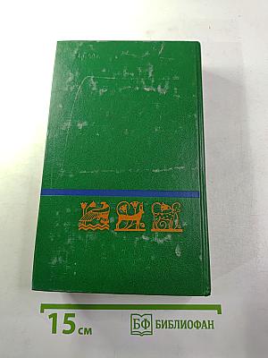 Круглая мозаика. Пирамидный дюйм. Мамелюки