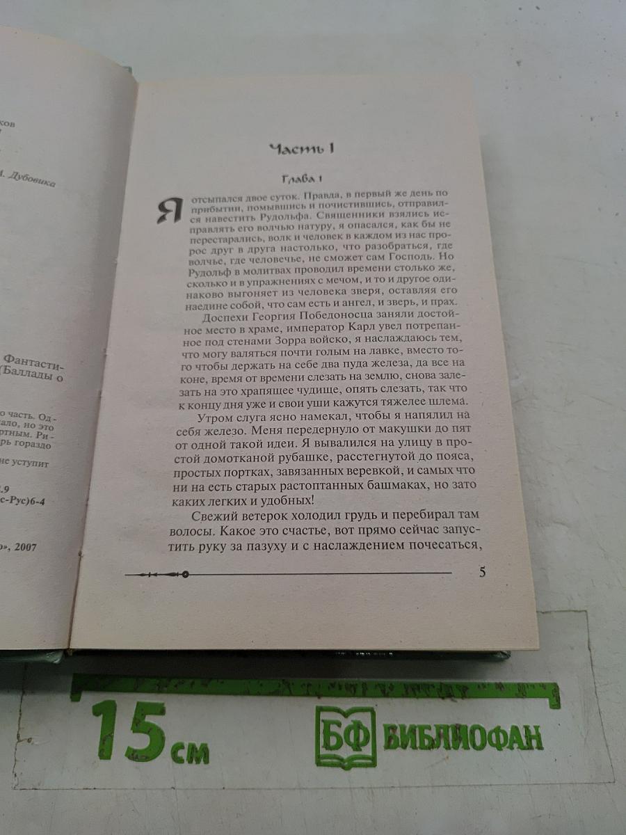Ричард. Длинные руки – паладин Господа