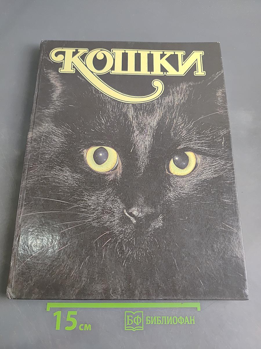 Кошки