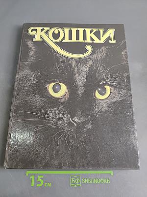 Кошки