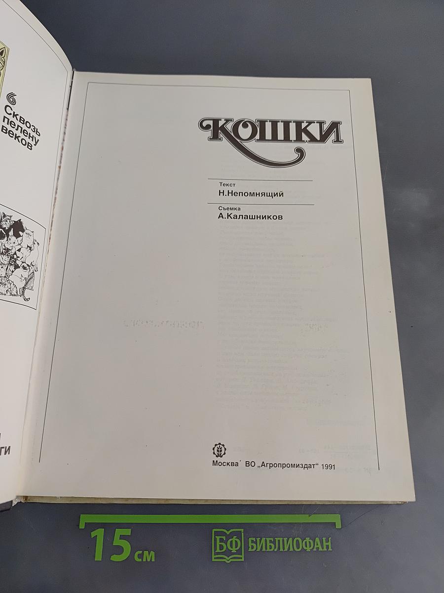 Кошки