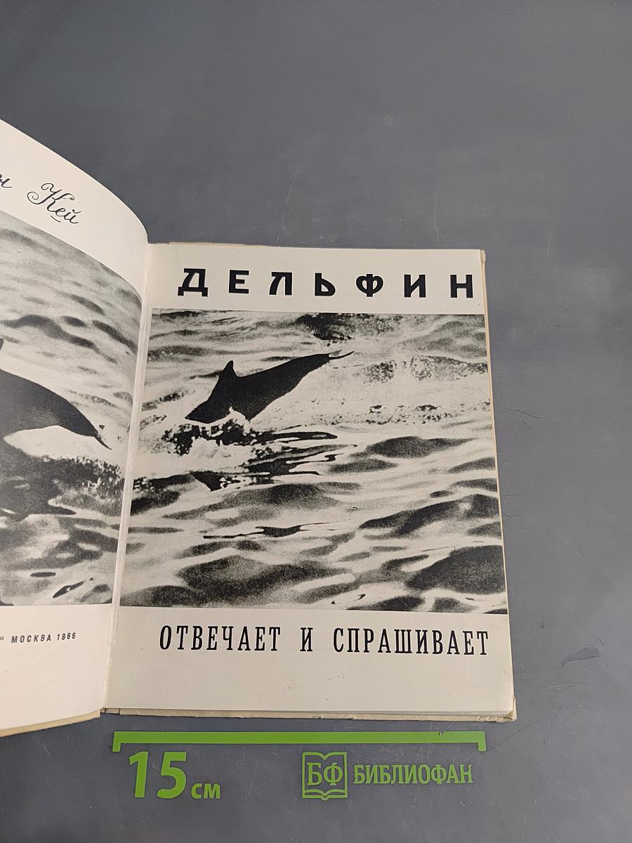 Дельфин отвечает и спрашивает