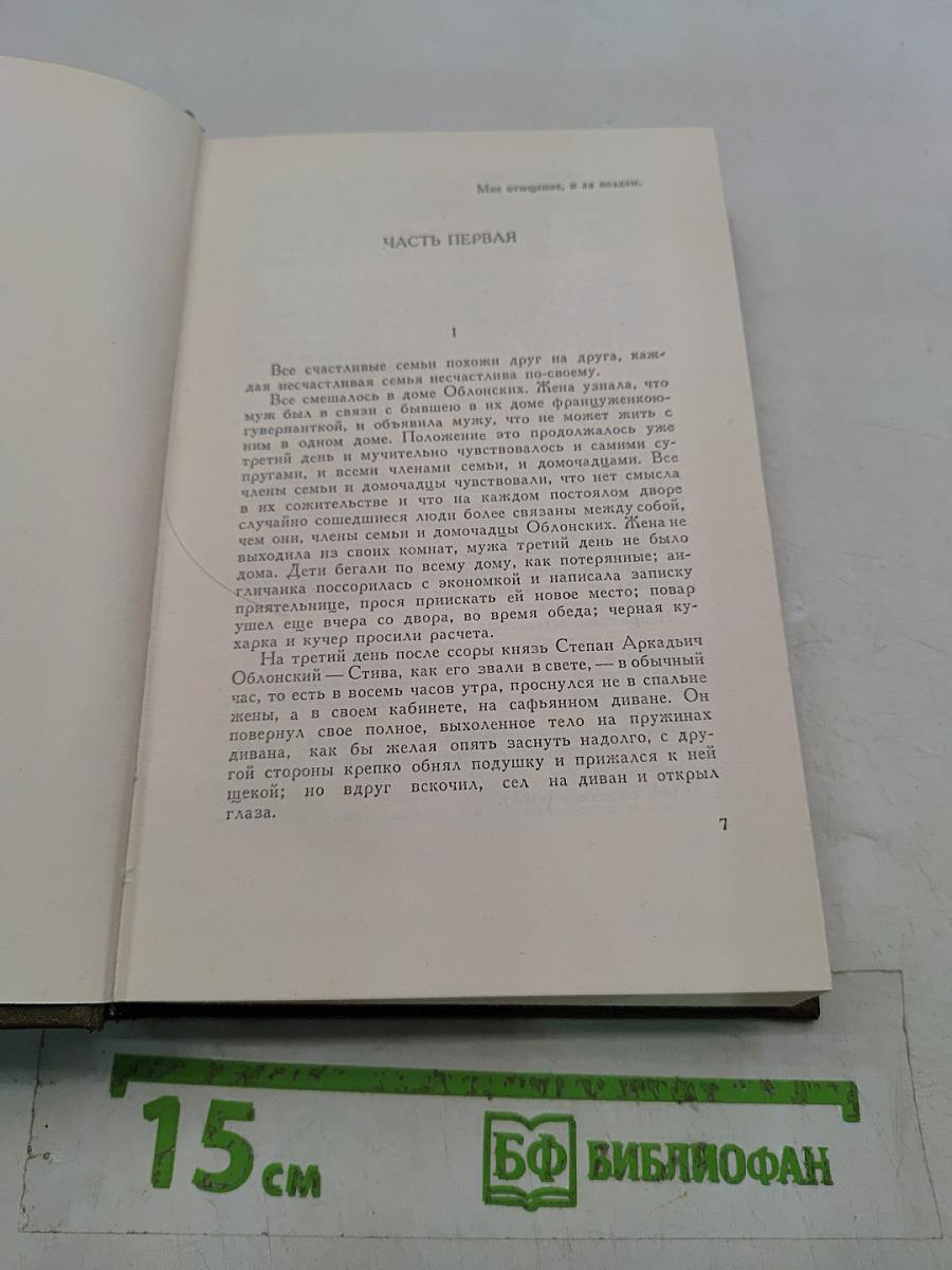 Анна Каренина. Роман в восьми частях. Том восьмой