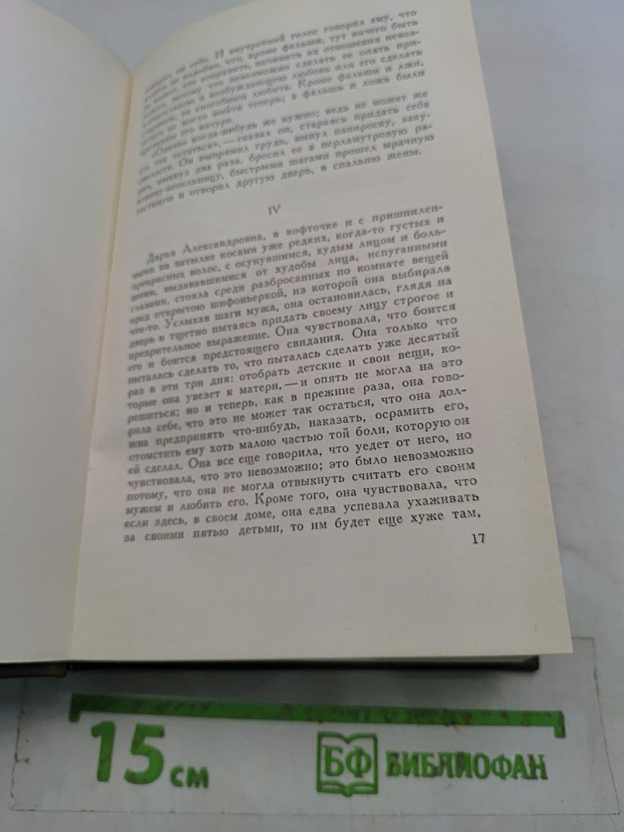 Анна Каренина. Роман в восьми частях. Том восьмой