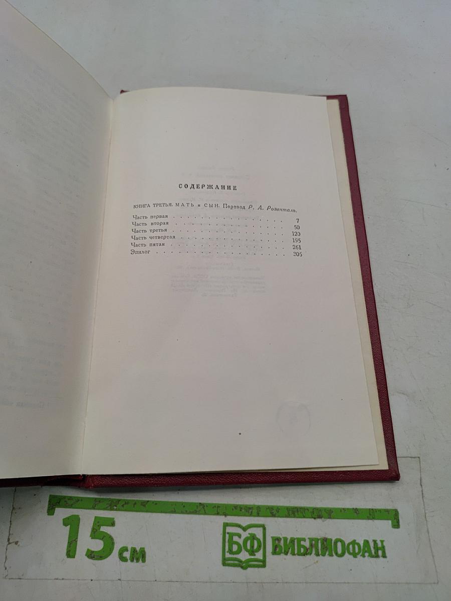 Собрание сочинений. Том девятый. Очарованная душа. Книга третья