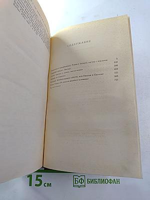 Униженные и оскорбленные. Повести и рассказы. Игрок. Том четвертый