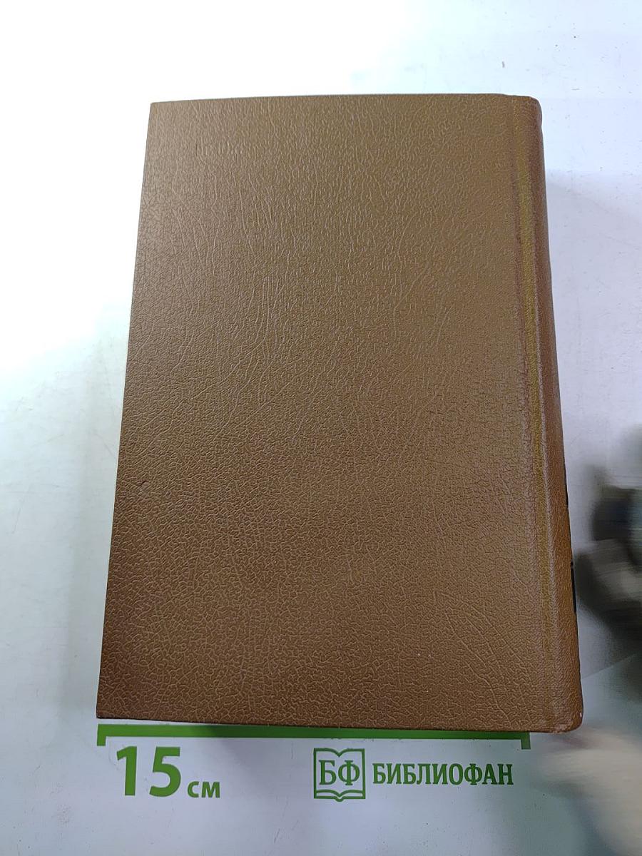 Униженные и оскорбленные. Повести и рассказы. Игрок. Том четвертый