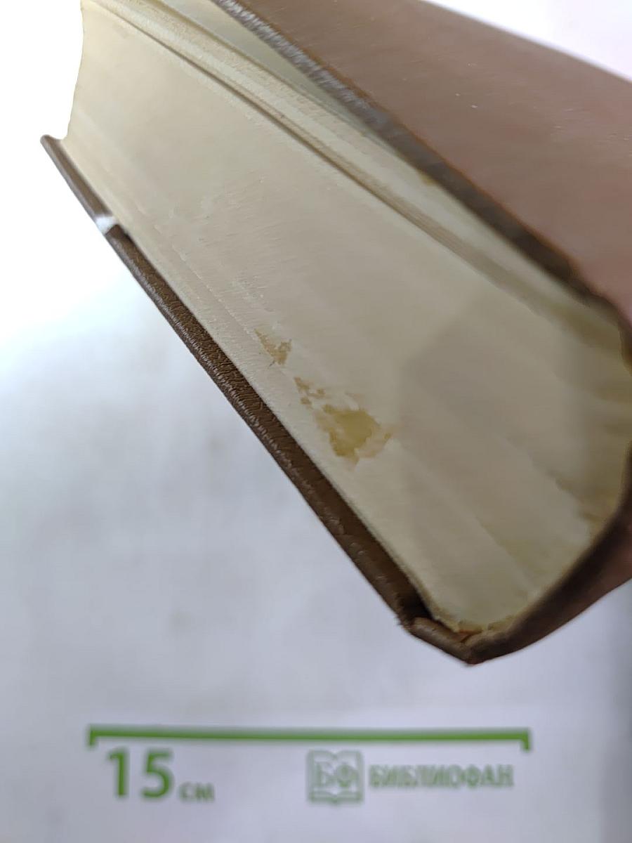 Униженные и оскорбленные. Повести и рассказы. Игрок. Том четвертый