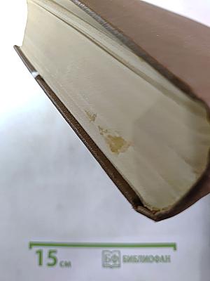 Униженные и оскорбленные. Повести и рассказы. Игрок. Том четвертый