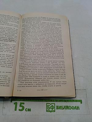 Охота на левиафана. Мальчики на Севере. Черный мустангер