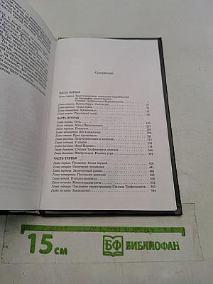 Собрание сочинений в четырех томах. Том IV. Роман «Бесы»