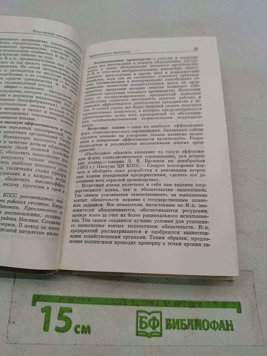 Популярный словарь-справочник. Эффективность. Качество