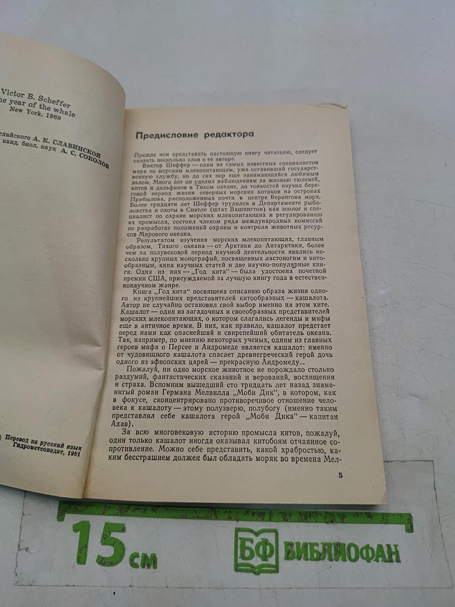 Год кита