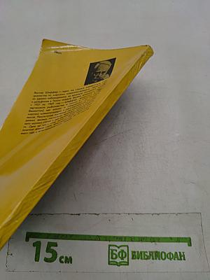Год кита