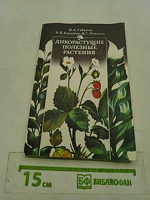 Дикорастущие полезные растения