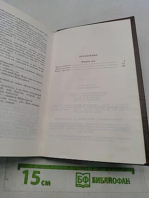 Королева Марго. Первый том