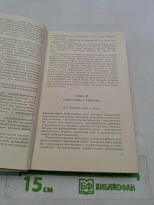 Парикмахерское дело