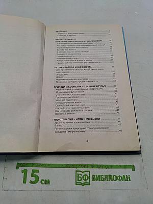 Животик мирового стандарта