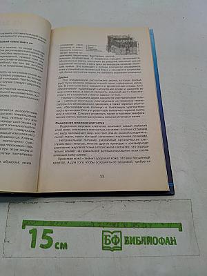 Животик мирового стандарта