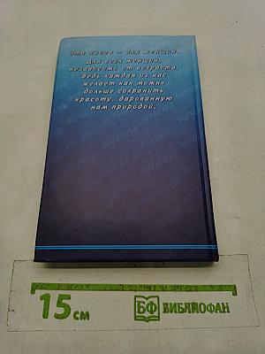 Животик мирового стандарта