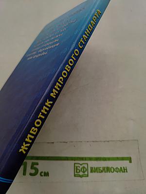 Животик мирового стандарта