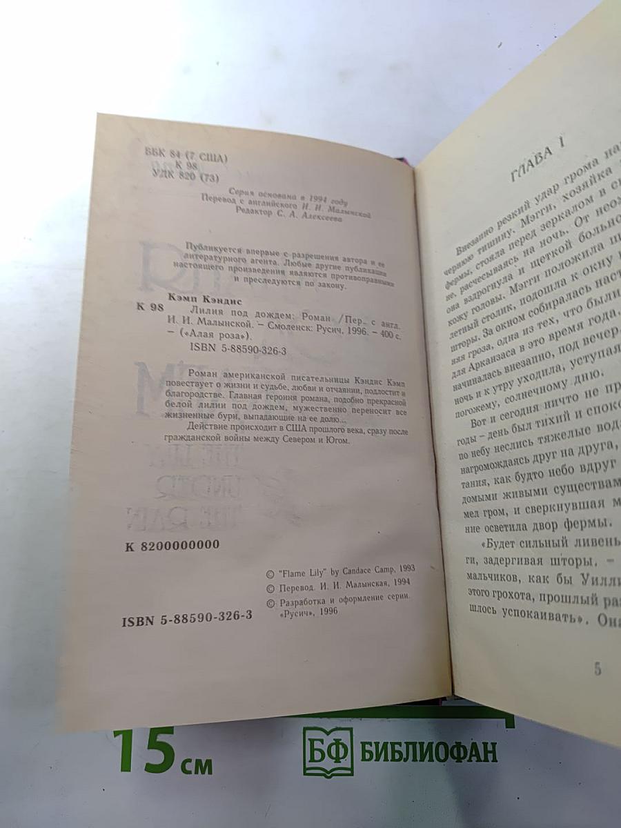 Лилия под дождем