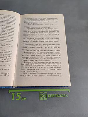 Тень воина