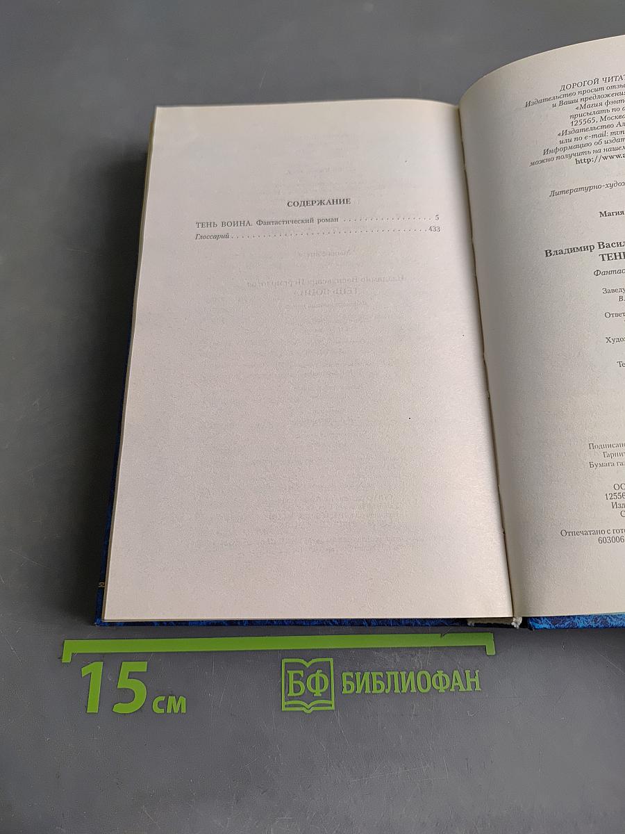 Тень воина