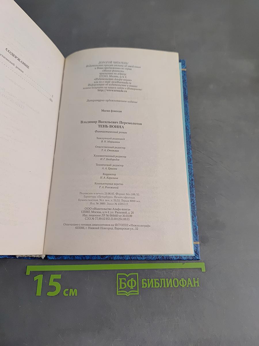 Тень воина