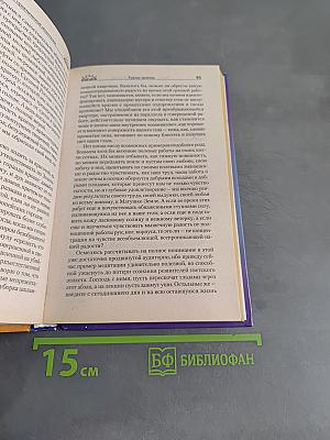 Чудеса практической медитации. Резонанс Земли и Неба