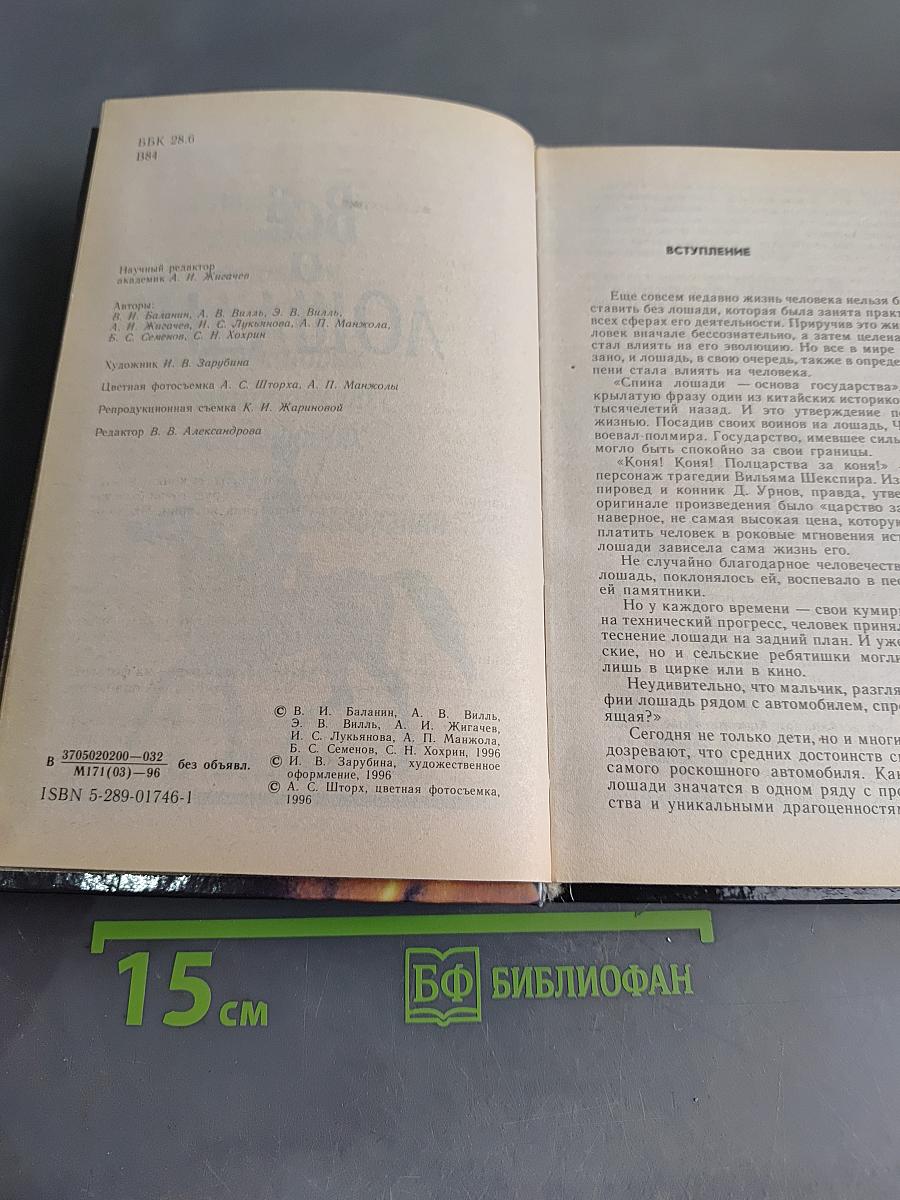 Всё о лошади
