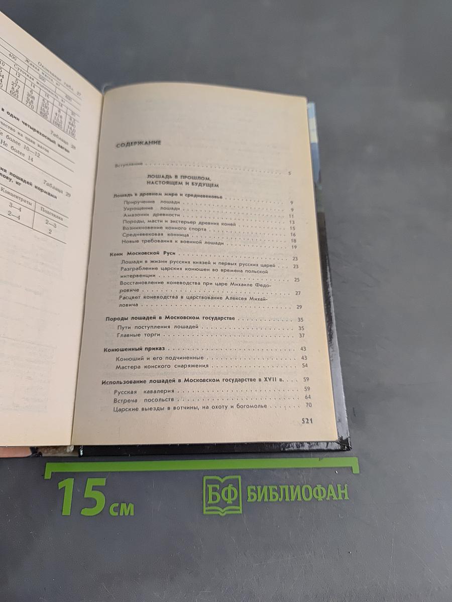 Всё о лошади