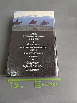 Всё о лошади