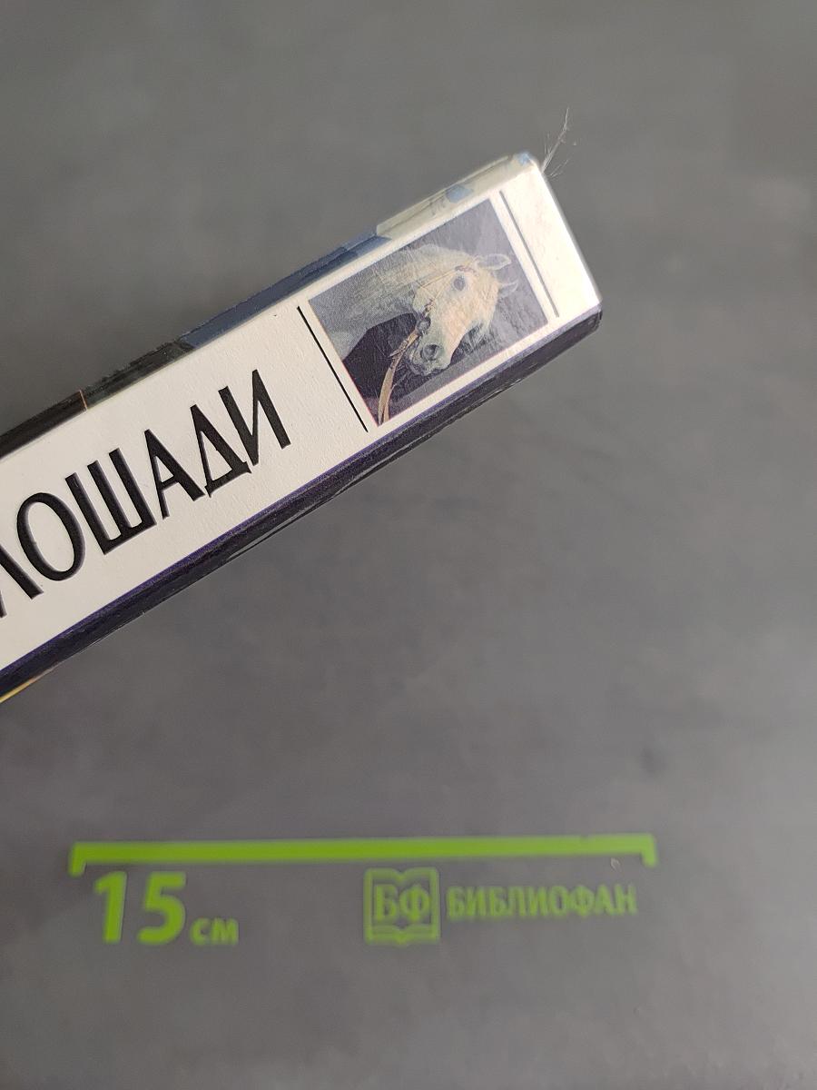 Всё о лошади