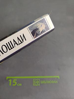 Всё о лошади