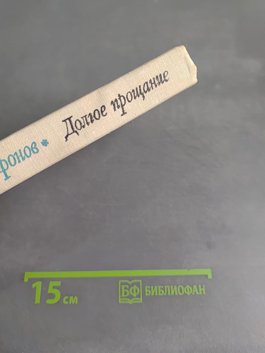 Долгое прощание