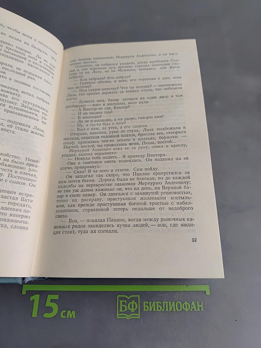 Сочинения. Том пятый. Необыкновенное лето