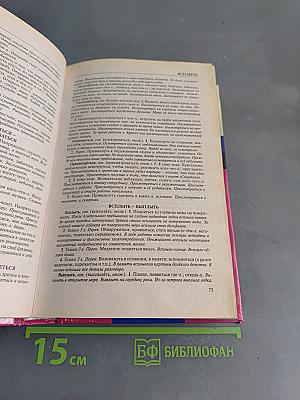Современный словарь русского языка. Паронимы