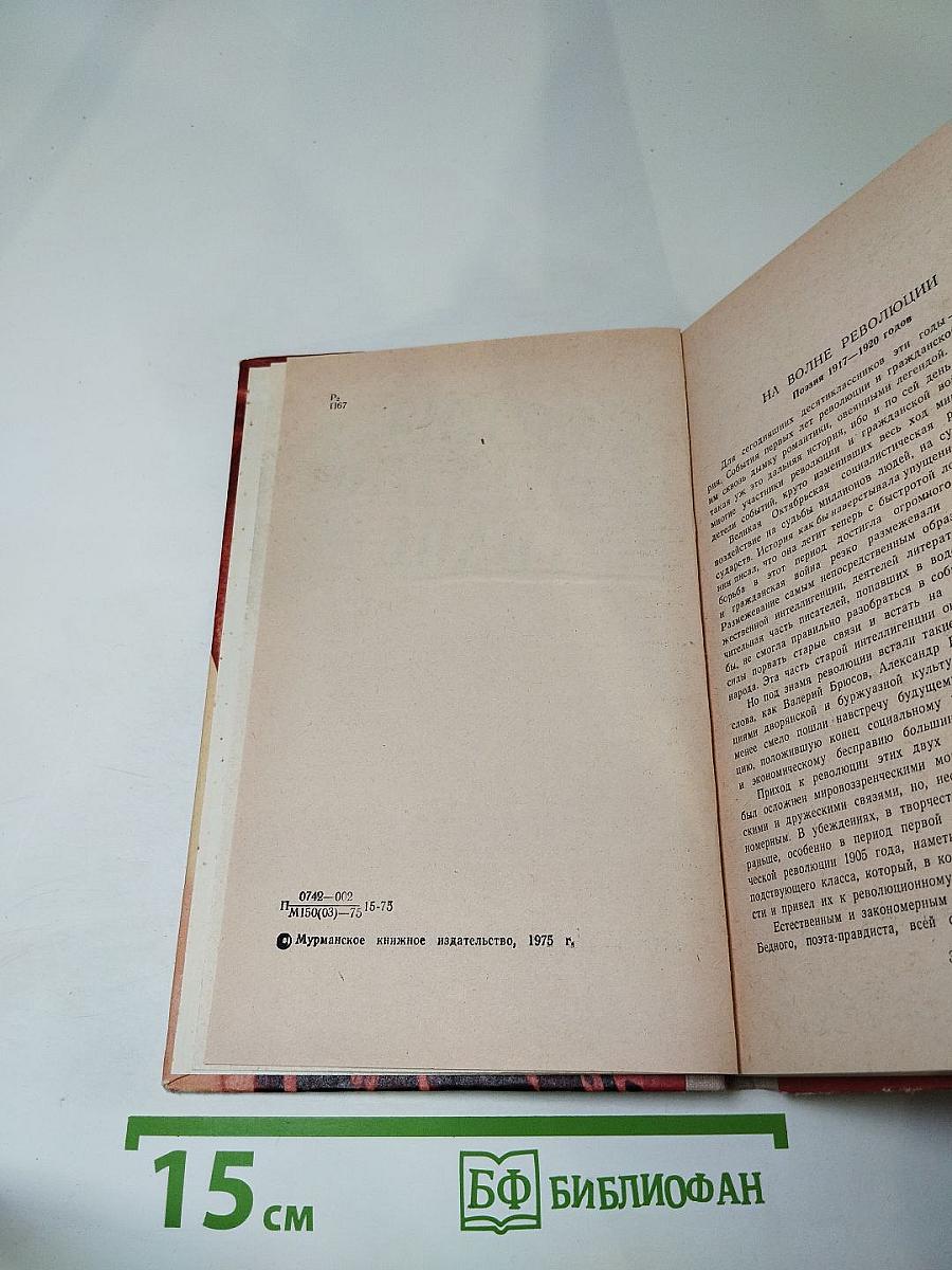 Поэзия 1917-1920 годов