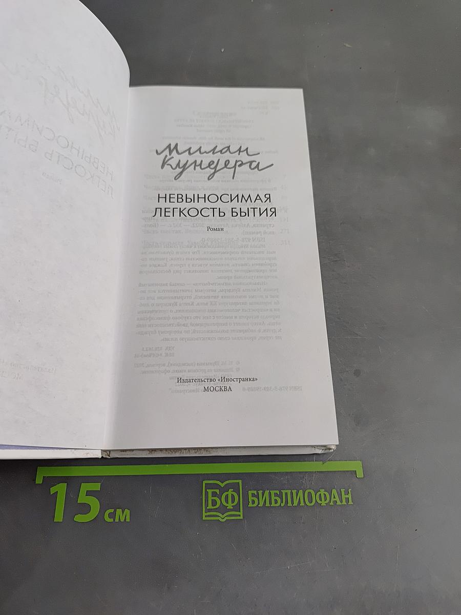 Невыносимая легкость бытия