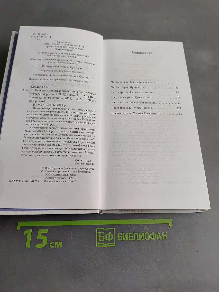 Невыносимая легкость бытия