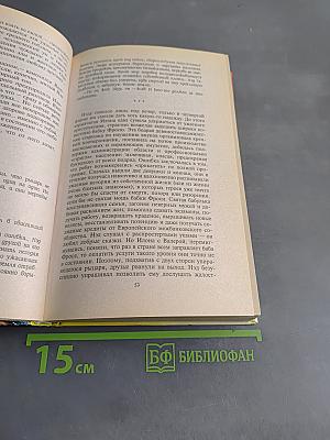 Рыжий рыцарь