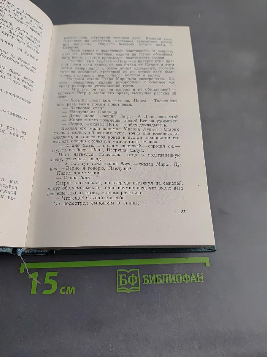 Сочинения. Том второй. Повести и рассказы, очерки, статьи, литературные воспоминания, речи