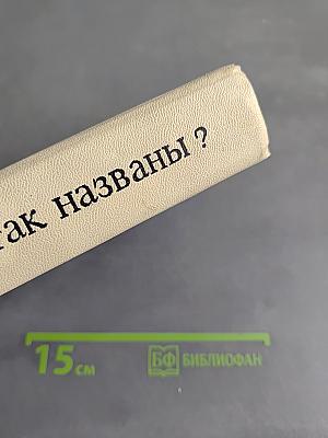 Почему так названы?
