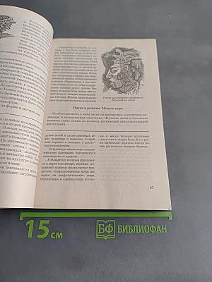 Мировая художественная культура. Америка, Австралия, Океания, Азия, Африка. Учебное пособие для средней школы